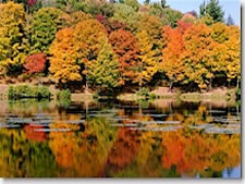 Bolton Valley Resort in Bolton Valley, Vermont