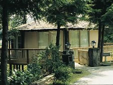 Brassie Knob Villas at Sky Valley in Dillard, Georgia