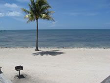 Caloosa Cove Resort in Islamorada, Florida