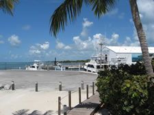 Caloosa Cove Resort in Islamorada, Florida