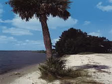 Charlotte Bay Resort & Club in Charlotte Harbor, Florida