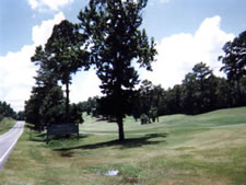 Dogwood Hills at Alpine Bay in Alpine, Alabama