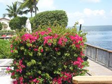 Florida Bay Club in Key Largo, Florida