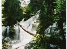 Glacier Wilderness Resort in West Glacier, Montana