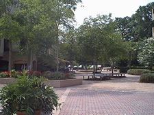 Harbourside III in Hilton Head Island, South Carolina