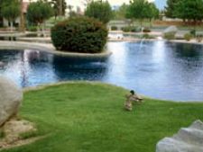 Indian Palms Intervals in Indio, California