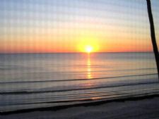 Island Towers in Fort Myers Beach, Florida