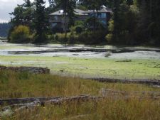 Kala Point Village in Port Townsend, Washington