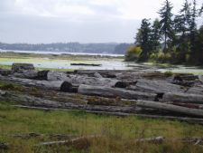 Kala Point Village in Port Townsend, Washington