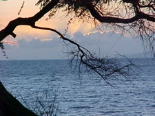 Kamaole Beach Club in Maui, Hawaii