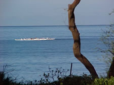 Kamaole Beach Club in Maui, Hawaii