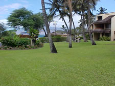 Kamaole Beach Club in Maui, Hawaii