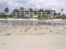Mariner's Boathouse &  Beach Resort in Fort Myers Beach, Florida