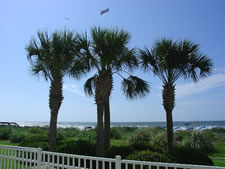 Maritime Beach Club in North Myrtle Beach, South Carolina