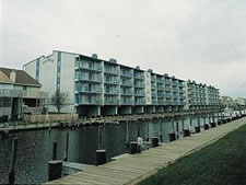 Marlin Cove II-Blue Marlin in Ocean City, Maryland