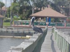 Oyster Pointe in Sebastian, Florida