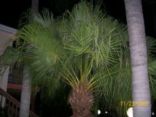 Oyster Pointe in Sebastian, Florida