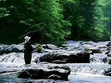 Laurel Point Resort in Gatlinburg, Tennessee