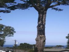 Pine Acres Lodge in Pacific Grove, California