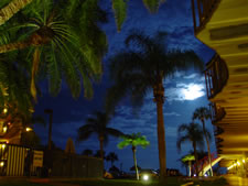 Sarasota Sands in Sarasota, Florida