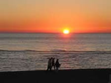 Sarasota Sands in Sarasota, Florida