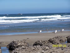 Schooner Landing in Newport, Oregon