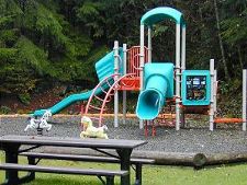 Snowater in Glacier, Washington