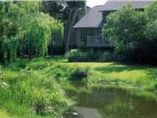 Spicebush at Sea Pines Resort in Hilton Head Island, South Carolina