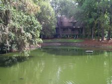 Spicebush at Sea Pines Resort in Hilton Head Island, South Carolina