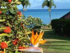 The Kuleana Club in Maui, Hawaii