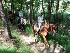 The Villas at Tree Tops in Bushkill, Pennsylvania