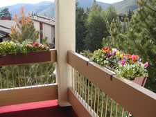 The Wren in Vail, Colorado