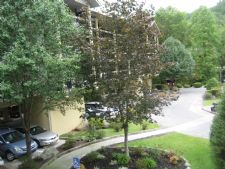 Tree Tops Resort in Gatlinburg, Tennessee