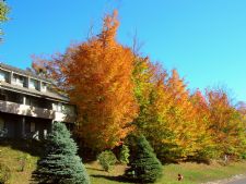 Village of Loon Mountain Condos in Lincoln, New Hampshire