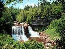 Whitetail Vistas in Davis, West Virginia