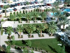 Monarch Grand Vacations - Cancun Resort in Las Vegas, Nevada