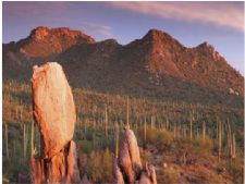 Starr Pass Golf Suites in Tucson, Arizona