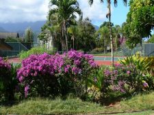 Hanalei Bay Resort - A Quintus Resort  in Hanalei, Kauai, Hawaii