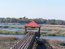 Disney's Hilton Head Island Resort in Hilton Head Island, South Carolina