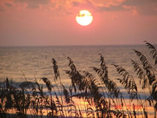 Marriott's SurfWatch in Hilton Head Island, South Carolina