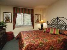 Snowdance Vacation Club in Brownsville, Vermont