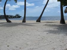 Matecumbe Resort in Islamorada, Florida