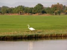 Balvanera Polo & Country Club in Queretaro, Mexico