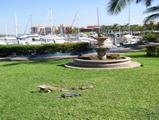 Marina el Cid Hotel & Yacht Club in Mazatlan, Mexico