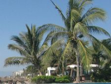 Mayan Palace Nuevo Vallarta in Nuevo Vallarta, Mexico