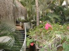 Club Cascadas De Baja in Cabo San Lucas, Mexico