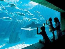 Harborside at Atlantis  in Paradise Island, Bahamas, Caribbean