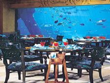 Harborside at Atlantis  in Paradise Island, Bahamas, Caribbean