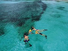 Marriott Aruba Surf Club in Aruba, Caribbean