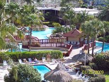 beach st pete reef coral resort florida